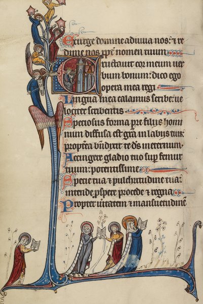 الأولي E: ديفيد عزف القيثارة بواسطة سيد بوت